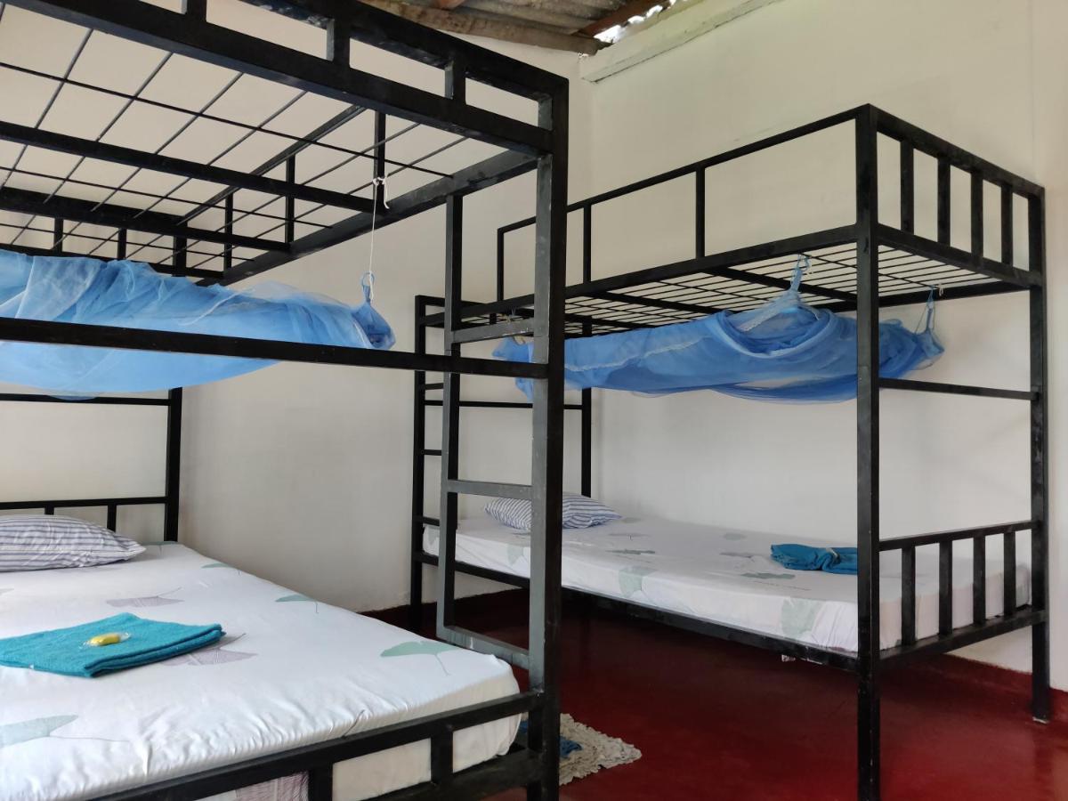 Catch The Ella Train Hostel Kandy Extérieur photo