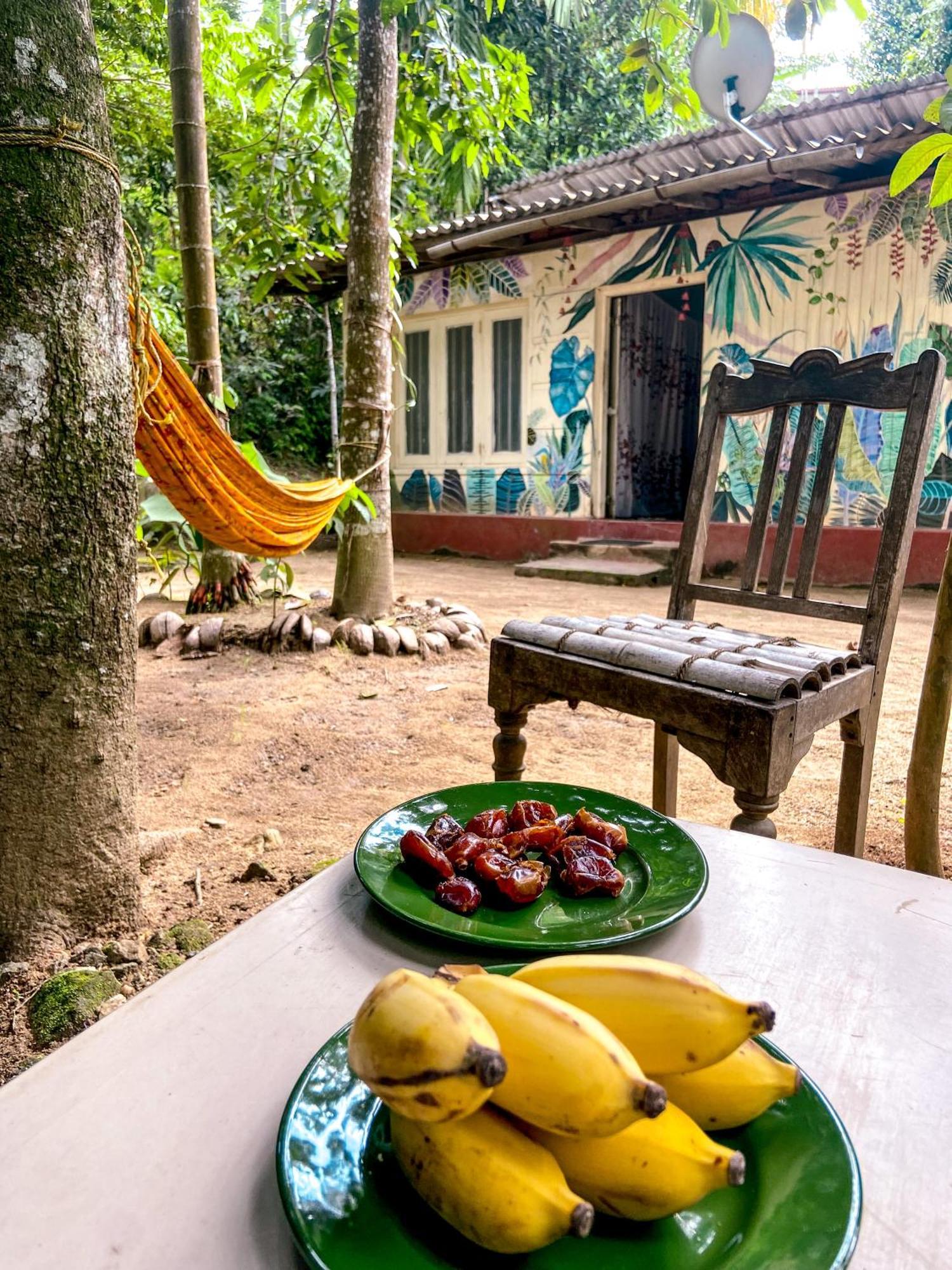 Catch The Ella Train Hostel Kandy Extérieur photo